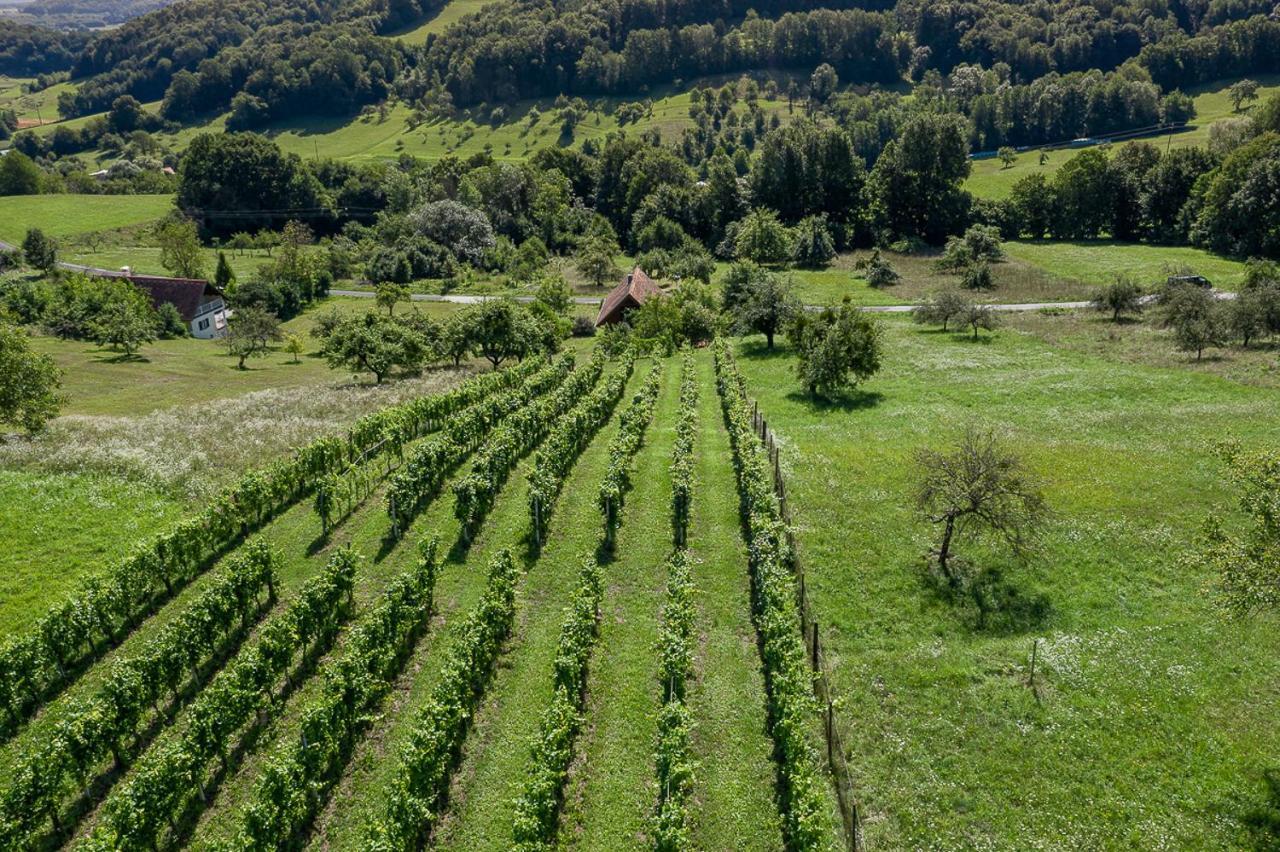Weingarten & Auszeit With Private Söchau