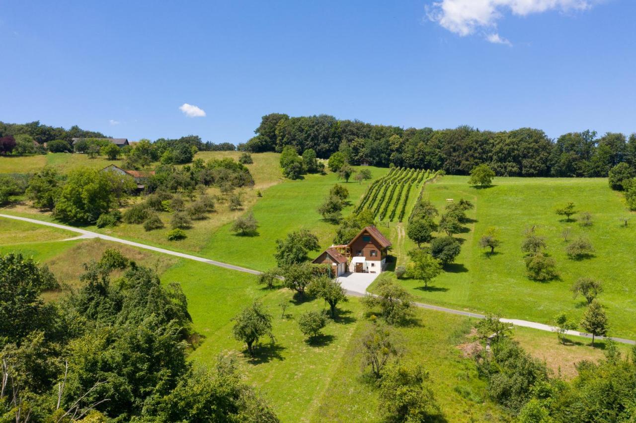 Apartment Weingarten & Auszeit With Private